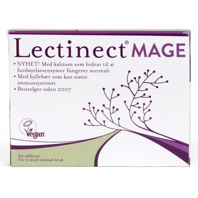 Lectinect Mage
