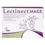 Lectinect Mage